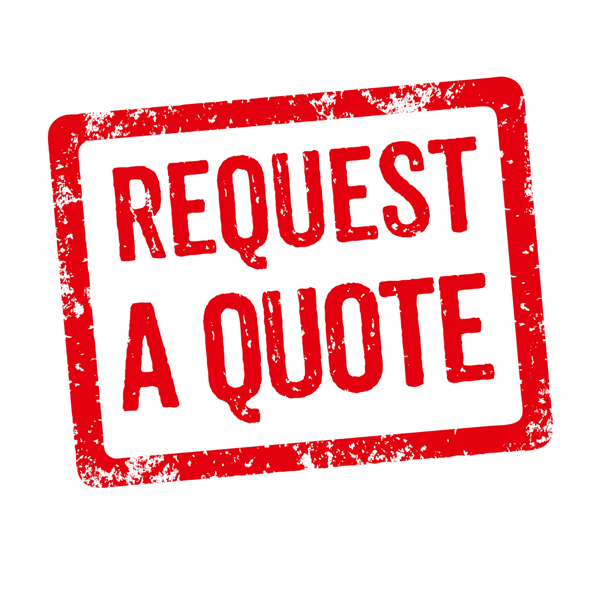 replacenew automatic or manual transmission  in Juno Ridge